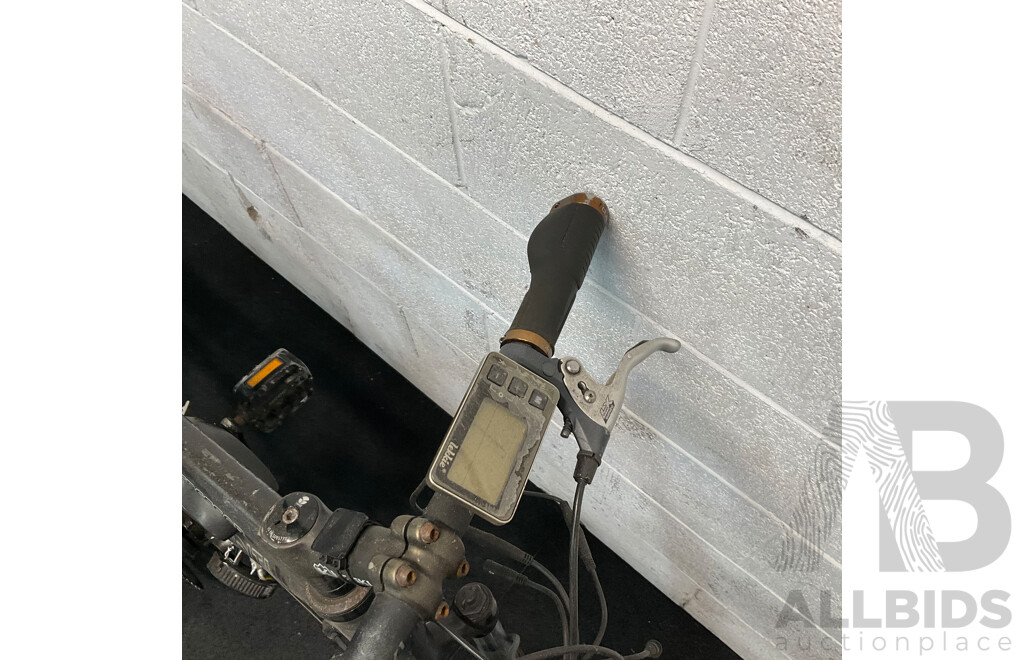 AVANTI Aggressor Bike