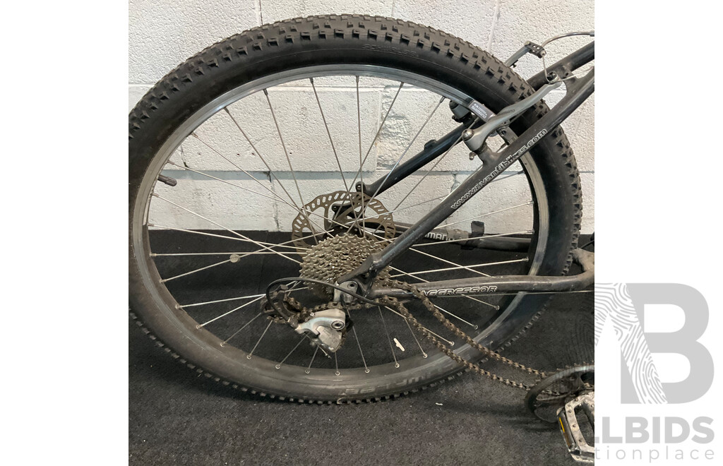 AVANTI Aggressor Bike