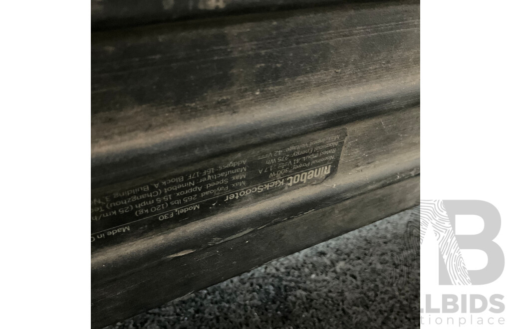 Ninebot Kickscooter F30