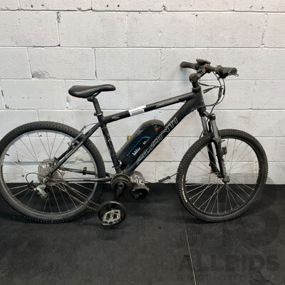 AVANTI Aggressor Bike