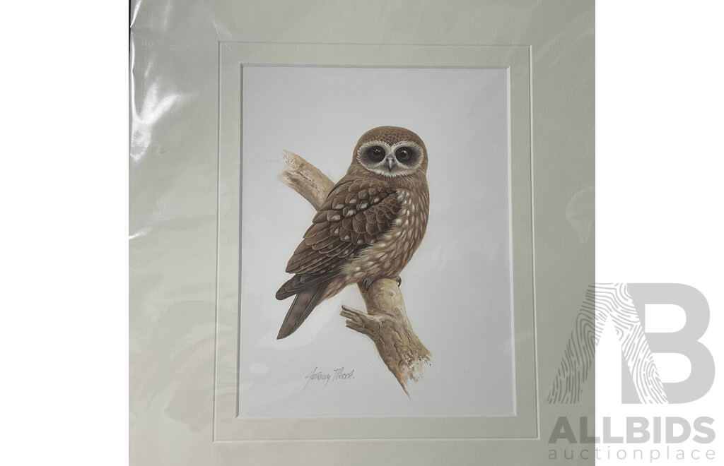 Parliament of Owl Artworks