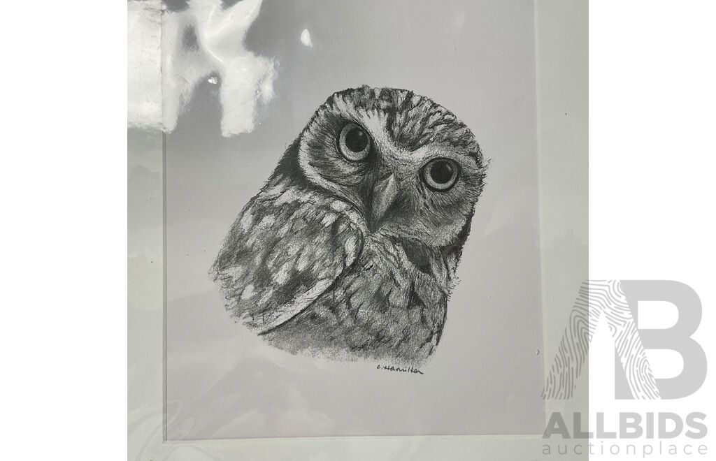 Parliament of Owl Artworks