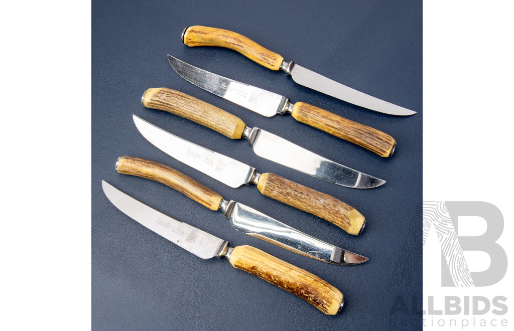 Vintage English Sheffield Antler Handled Steak Knives, Boxed Set of Six