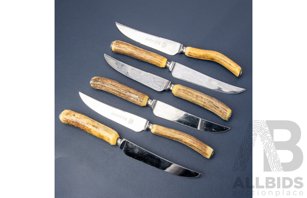 Vintage English Sheffield Antler Handled Steak Knives, Boxed Set of Six