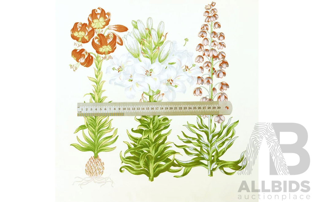 Garden Bed – Polished Cotton - Width: 140cm - 17 Metres - RRP$65.00 per Metre