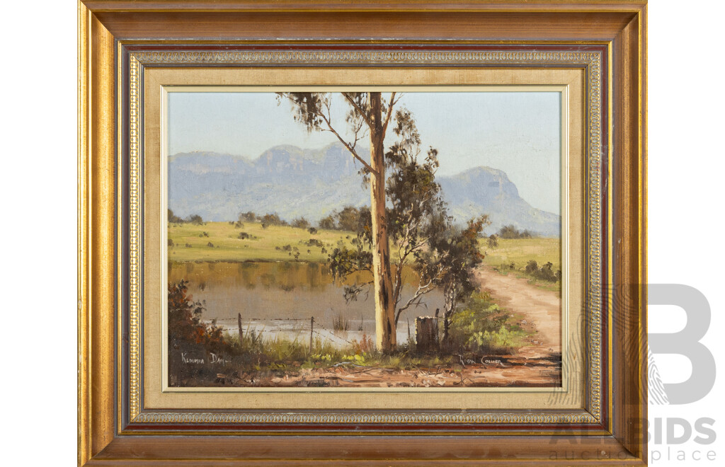 Robyn Collier, (20th Century, Australian), Kedumba Dam, Original Oil on Canvas Board, 47 x 57 cm (frame)