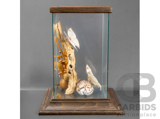Vintage Glass Framed Diorama with Butterflies, Driftwood and Seashells