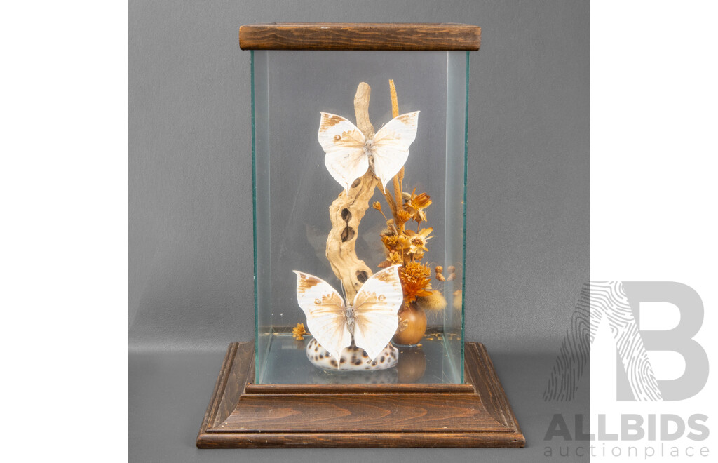 Vintage Glass Framed Diorama with Butterflies, Driftwood and Seashells