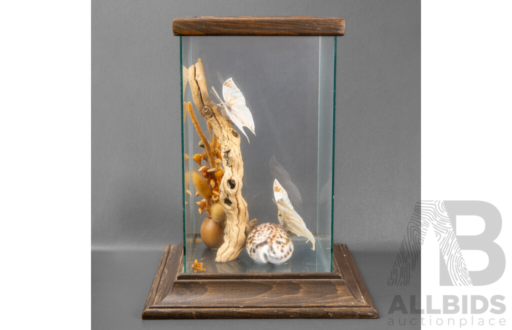 Vintage Glass Framed Diorama with Butterflies, Driftwood and Seashells