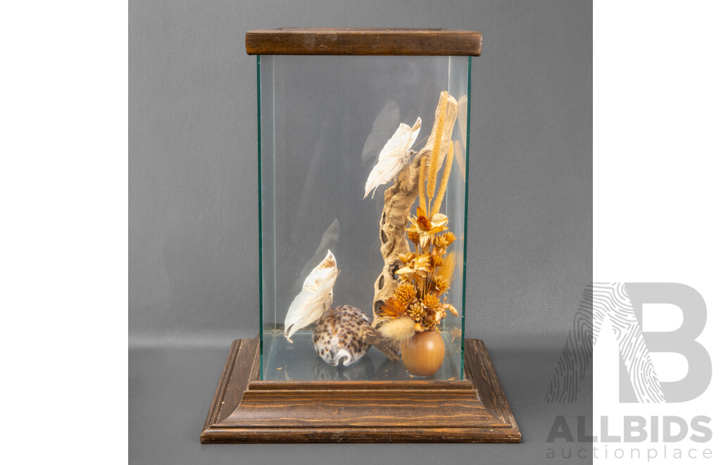 Vintage Glass Framed Diorama with Butterflies, Driftwood and Seashells