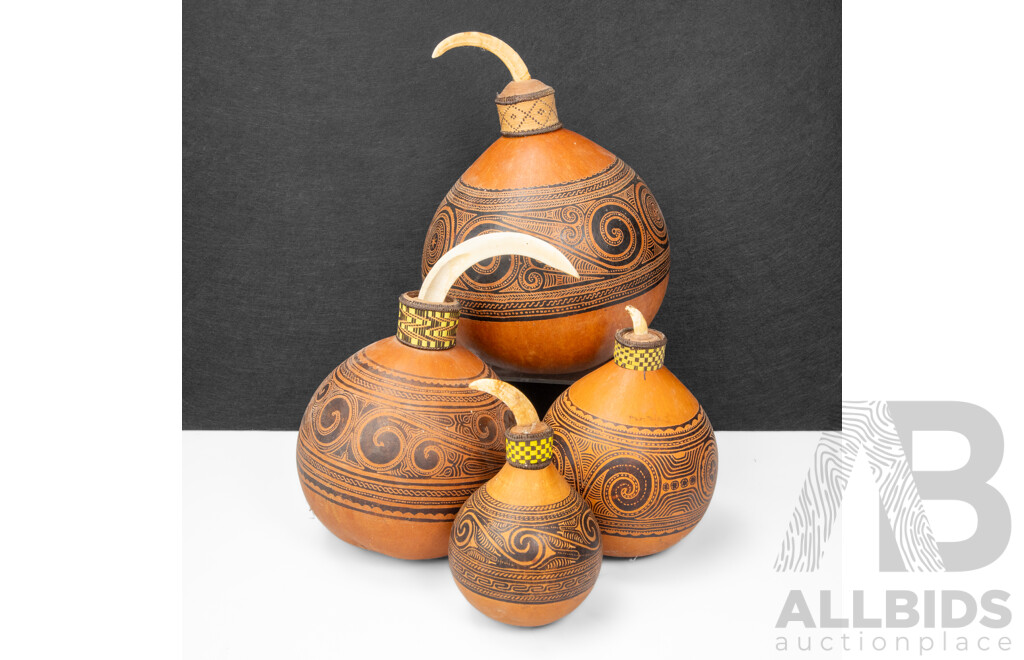 Collection of Four Graduated Massim Lime Beetle Gourds with Tusk Fitted Tips