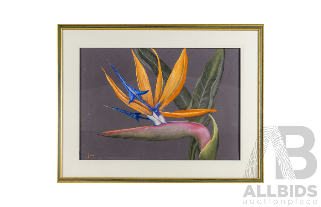 Jenni Warren (20th Century, Australian), Bird of Paradise, Original Pastel, 65H x 85W cm (frame)