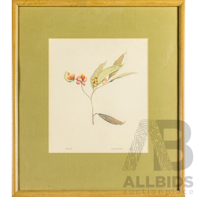 Roger Clarke, (20th Century), Snow Gum, Dargo High Plains (1987), Lovely Original Vintage Watercolour, 54H x 48W cm (frame)