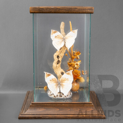 Vintage Glass Framed Diorama with Butterflies, Driftwood and Seashells