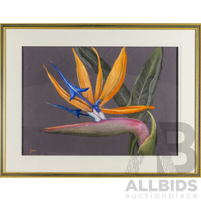 Jenni Warren (20th Century, Australian), Bird of Paradise, Original Pastel, 65H x 85W cm (frame)