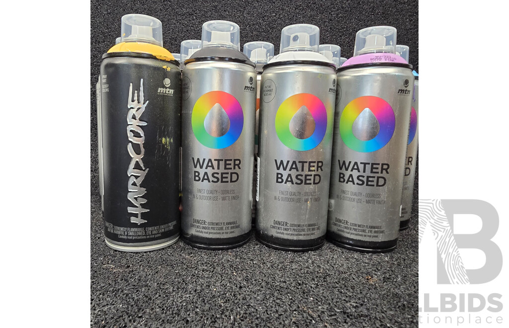 MTN Spray Paint - Lot of 15