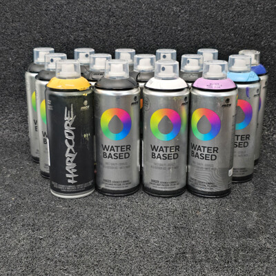 MTN Spray Paint - Lot of 15