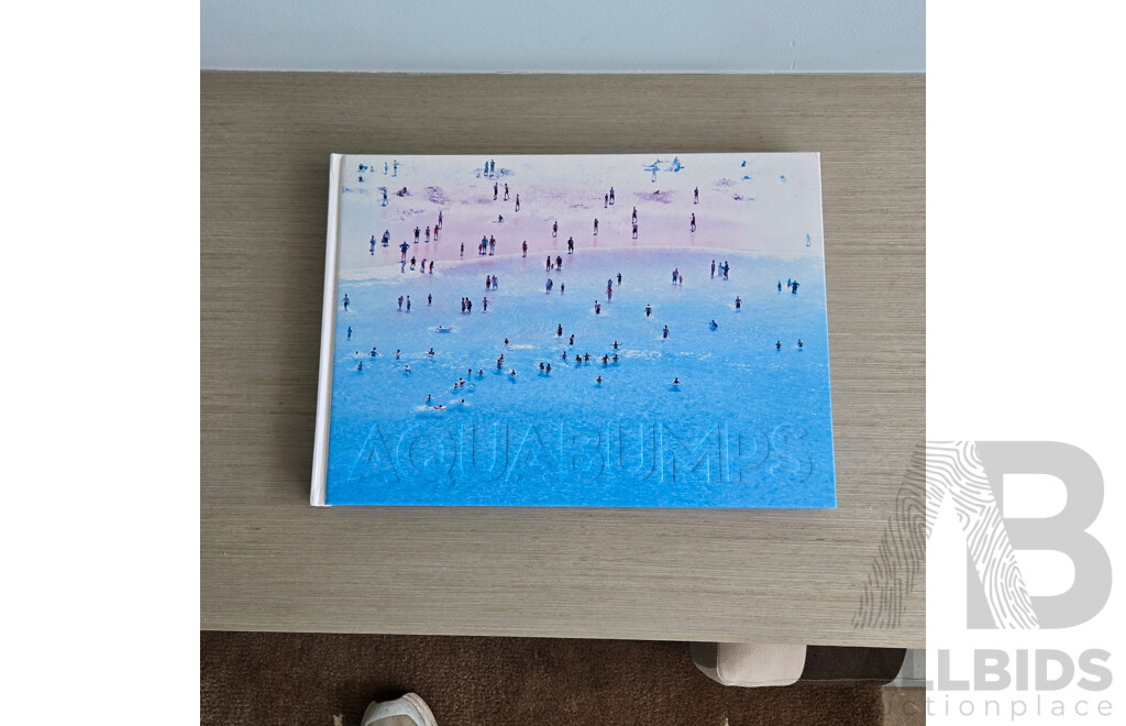 Eugene Tan, "Icebergs Barrell" by Iconic Bondi Photographer of Aquabumps, Framed Photo