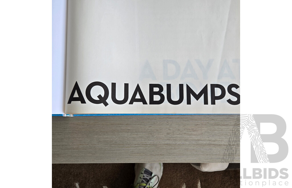 Eugene Tan, "Icebergs Barrell" by Iconic Bondi Photographer of Aquabumps, Framed Photo