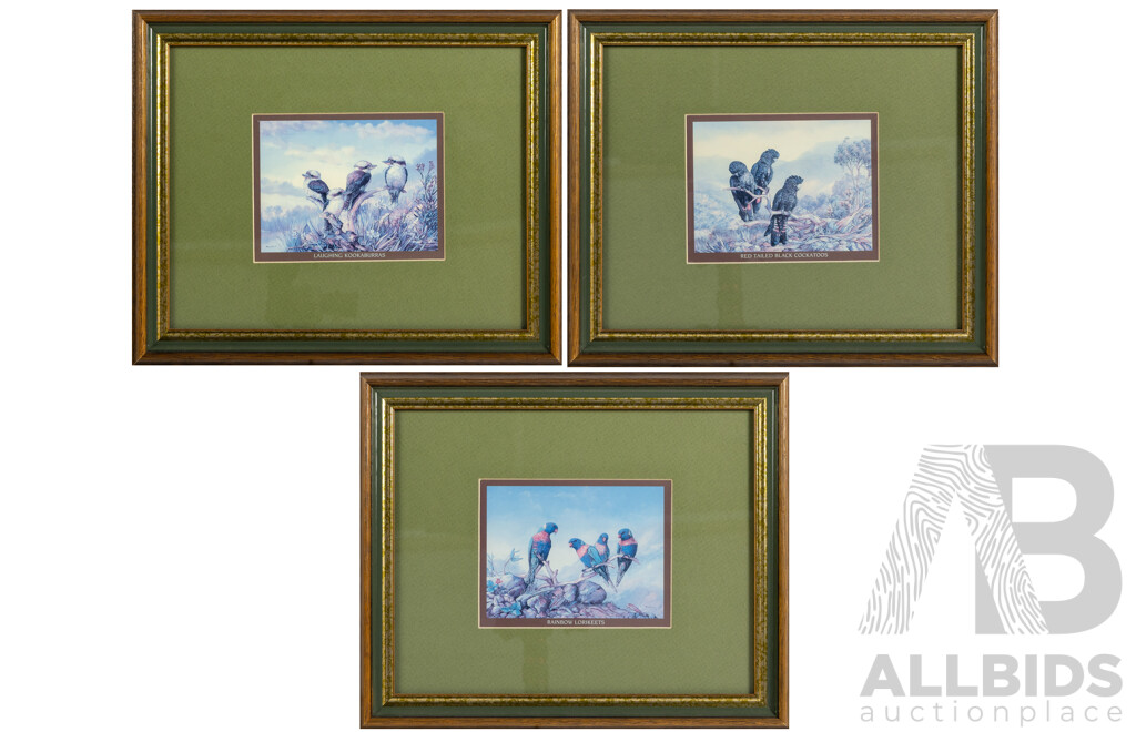 Artists Unknown, (20th Century, Australian), Laughing Kookaburras; Red Tailed Black Cockatoos & Rainbow Lorikeets, Trio of Nicely Framed Colour Prints, 24 x 29 cm (frame) (3)