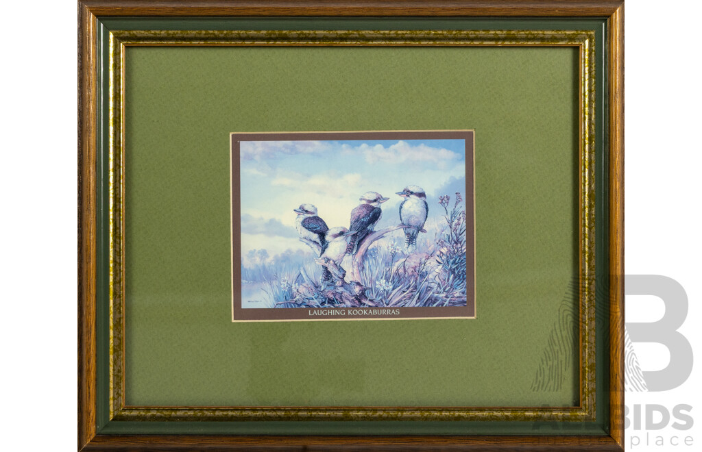 Artists Unknown, (20th Century, Australian), Laughing Kookaburras; Red Tailed Black Cockatoos & Rainbow Lorikeets, Trio of Nicely Framed Colour Prints, 24 x 29 cm (frame) (3)