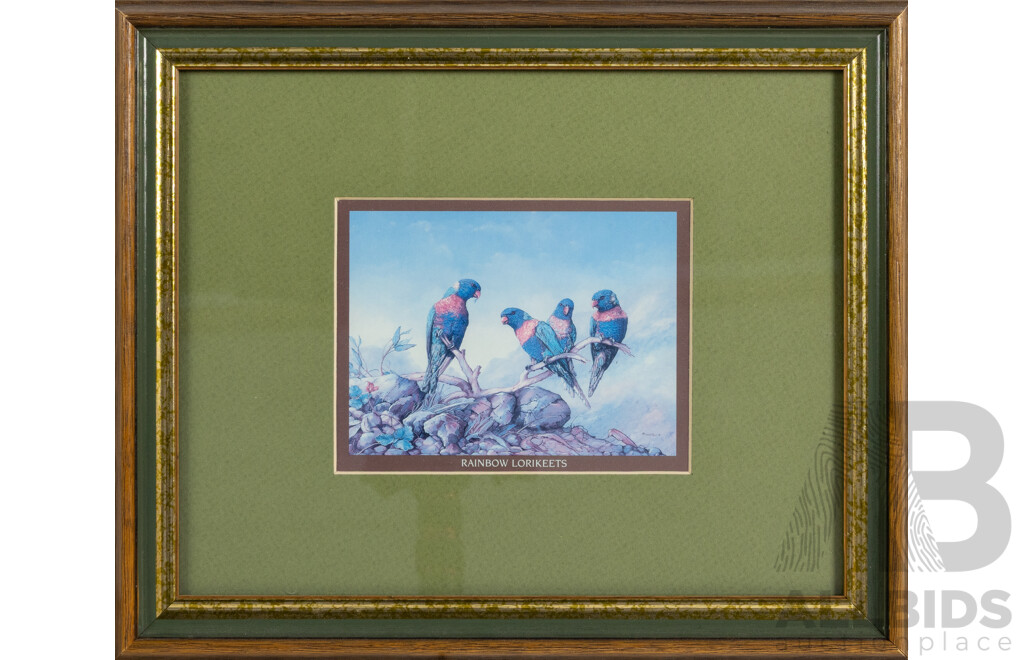 Artists Unknown, (20th Century, Australian), Laughing Kookaburras; Red Tailed Black Cockatoos & Rainbow Lorikeets, Trio of Nicely Framed Colour Prints, 24 x 29 cm (frame) (3)