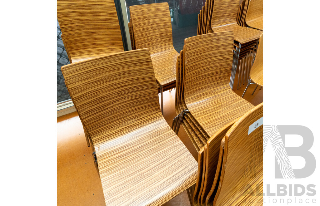 Plywood Cafe Chairs - Lot of 25