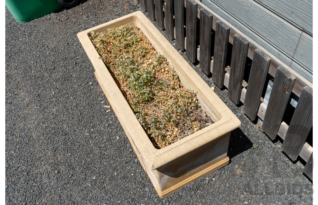 Beige Concrete Rectangular Planter Boxes - Lot of Five