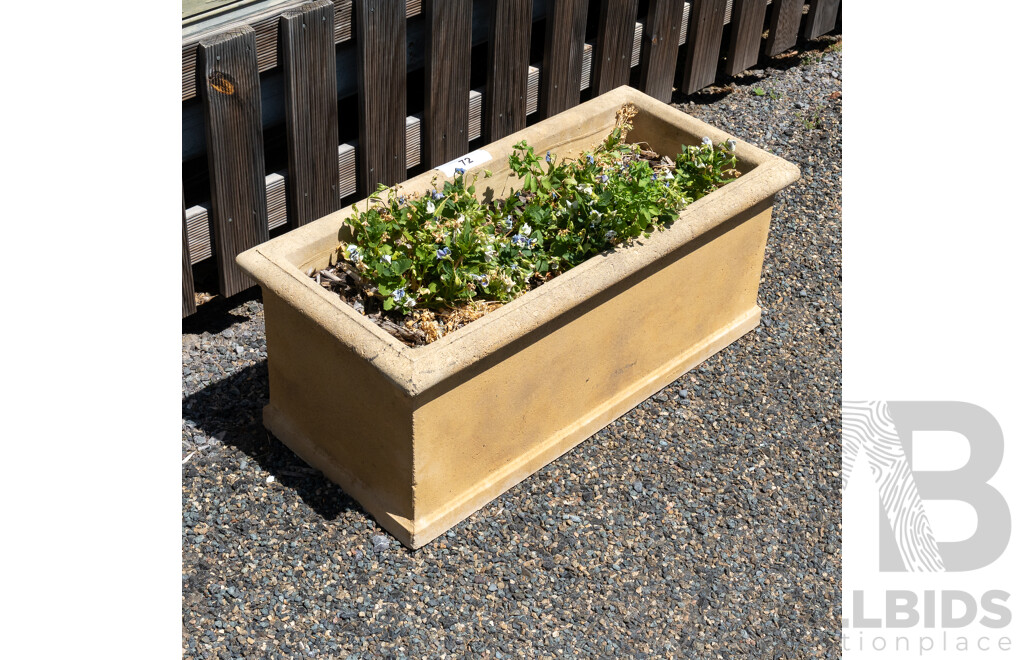 Beige Concrete Rectangular Planter Boxes - Lot of Five