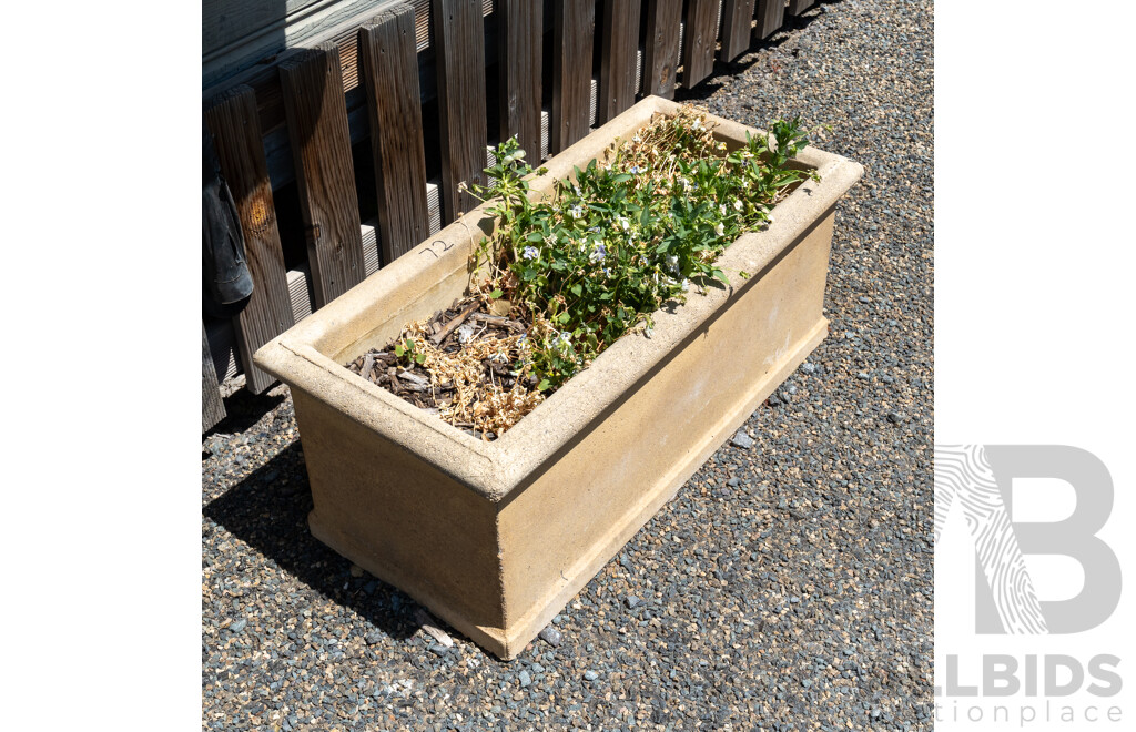 Beige Concrete Rectangular Planter Boxes - Lot of Five