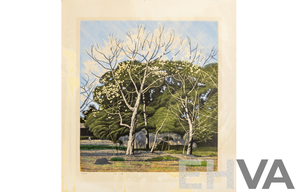 Shogo Okamoto, (20th Century, Japanese, 1920-2001), White Flowers (1975), Coloured Vintage Etching, 50 x 46 cm (sheet)