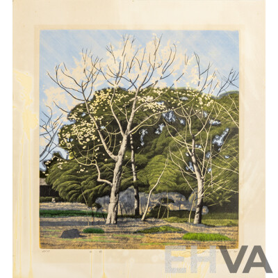 Shogo Okamoto, (20th Century, Japanese, 1920-2001), White Flowers (1975), Coloured Vintage Etching, 50 x 46 cm (sheet)