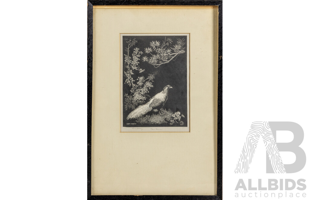 Sir Lionel Lindsay, (19th/20th Centuries, Australian, 1874-1961), Silver Pheasant (1936), Original Wood Engraving on Thin Laid India Paper, 45 X 31 Cm (frame)