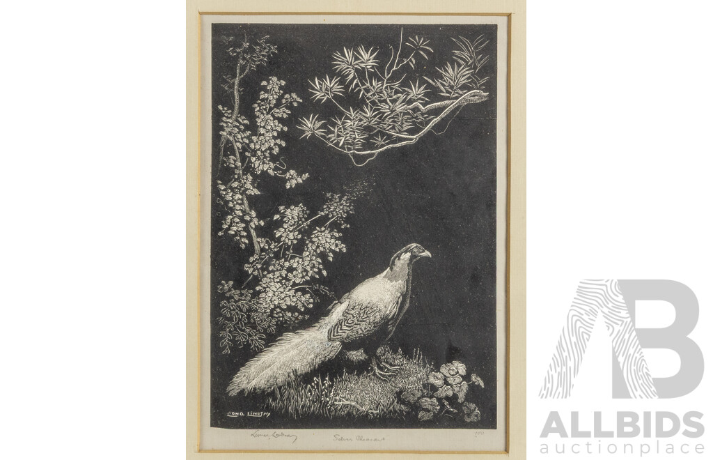 Sir Lionel Lindsay, (19th/20th Centuries, Australian, 1874-1961), Silver Pheasant (1936), Original Wood Engraving on Thin Laid India Paper, 45 X 31 Cm (frame)