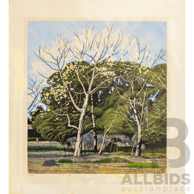 Shogo Okamoto, (20th Century, Japanese, 1920-2001), White Flowers (1975), Coloured Vintage Etching, 50 x 46 cm (sheet)