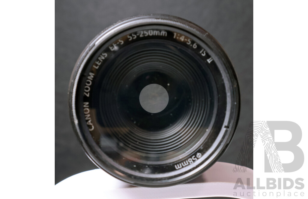 Canon EOS 7D Digital SLR Camera with Canon, Tamron Lenses and Filter