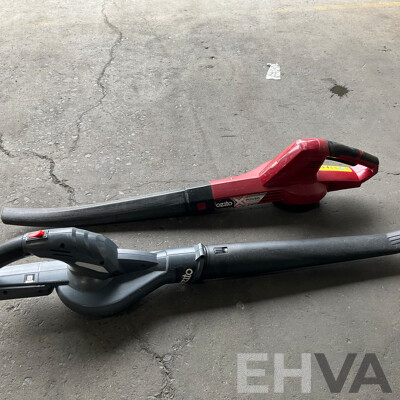 Victa Cut Push Mower & Assorted Ozito Power Tools