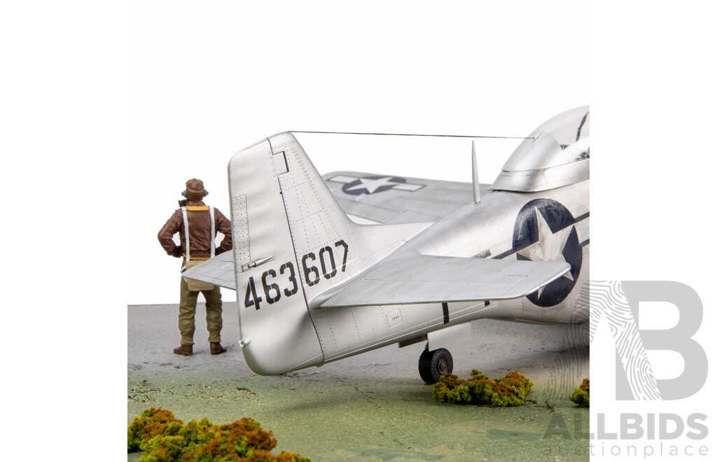 North American 1945 P51 D Mustang IV Model in Perspex Case - 1:24 Scale