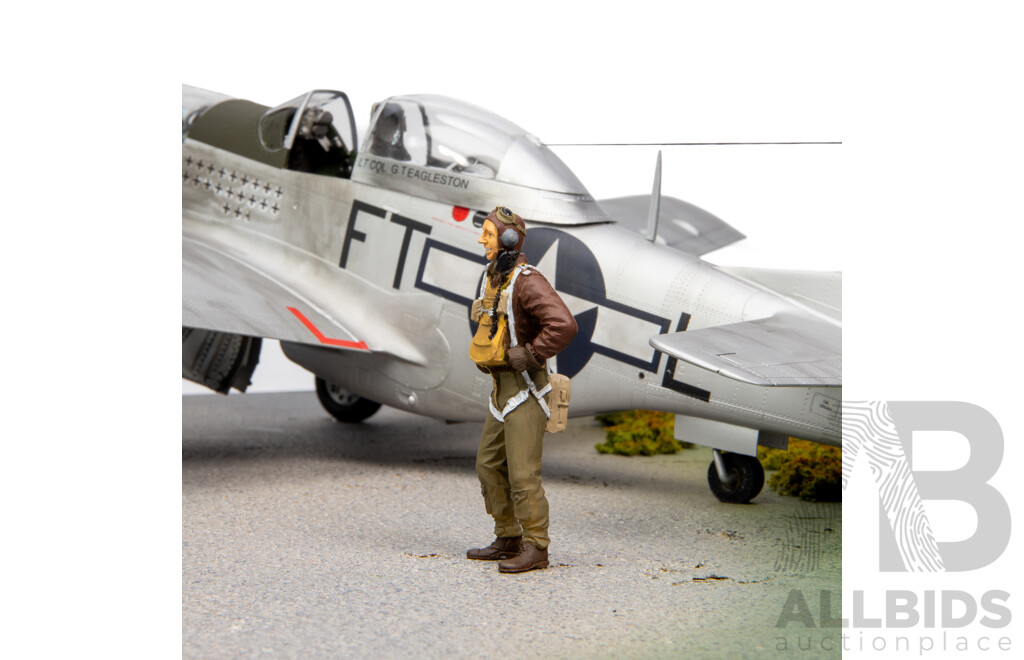 North American 1945 P51 D Mustang IV Model in Perspex Case - 1:24 Scale