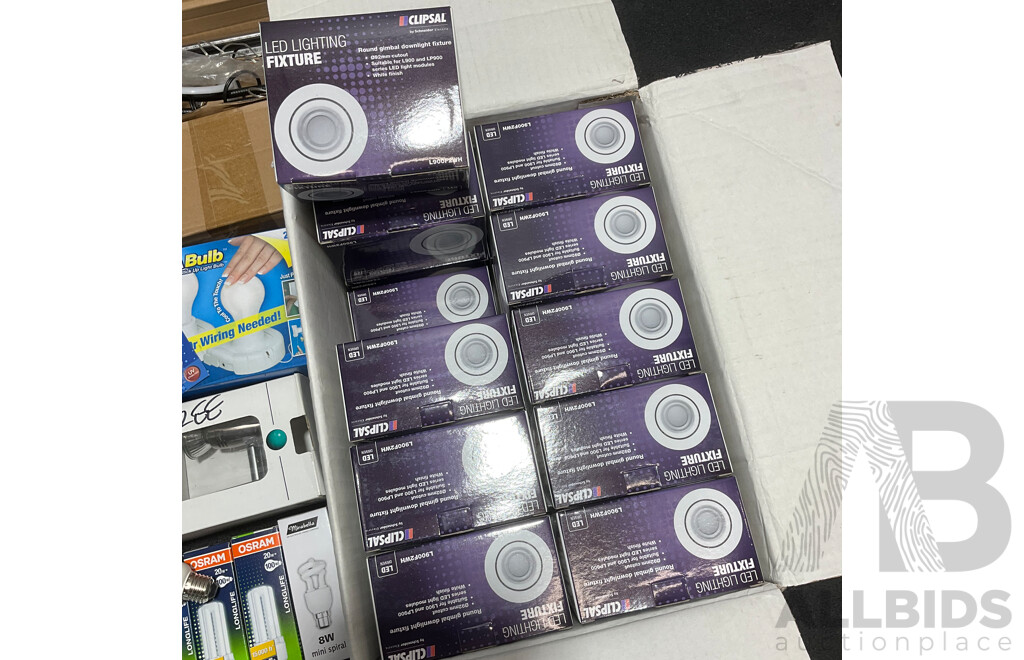 Assorted Lighting Products, Including Various LED Globes, Downlights and Light Fixtures
