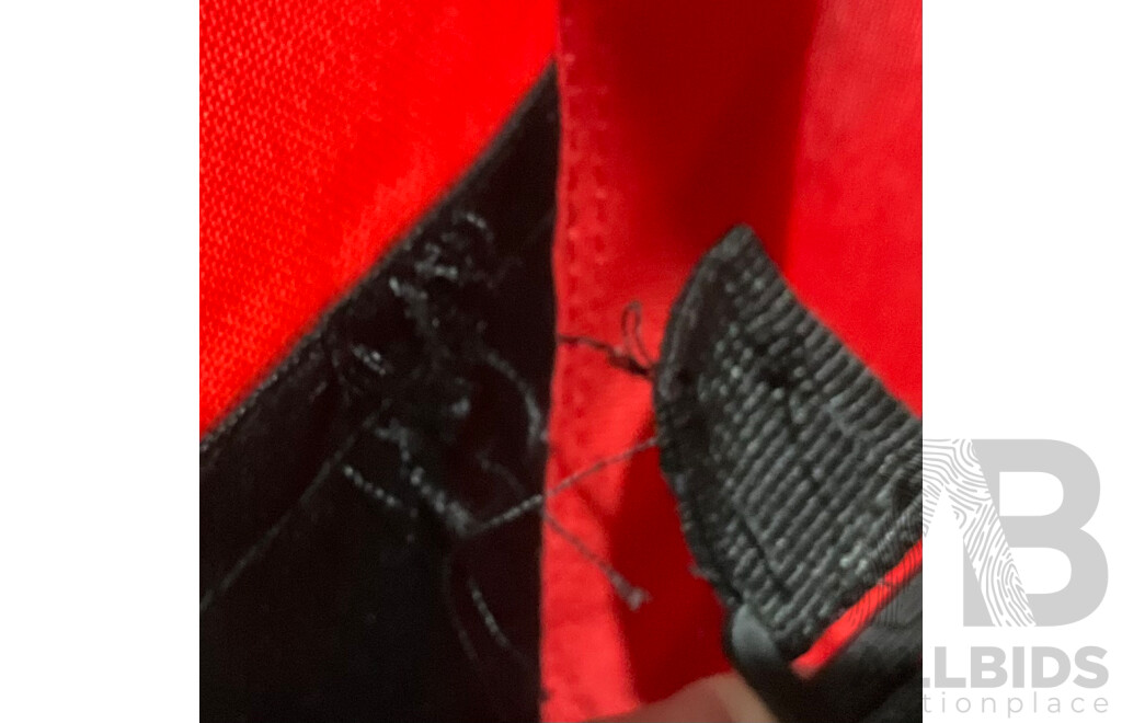 2in1 Bicycle Trailer and Stroller