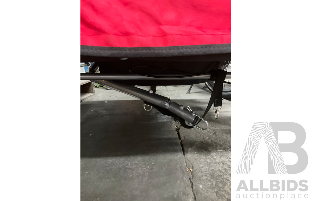 2in1 Bicycle Trailer and Stroller