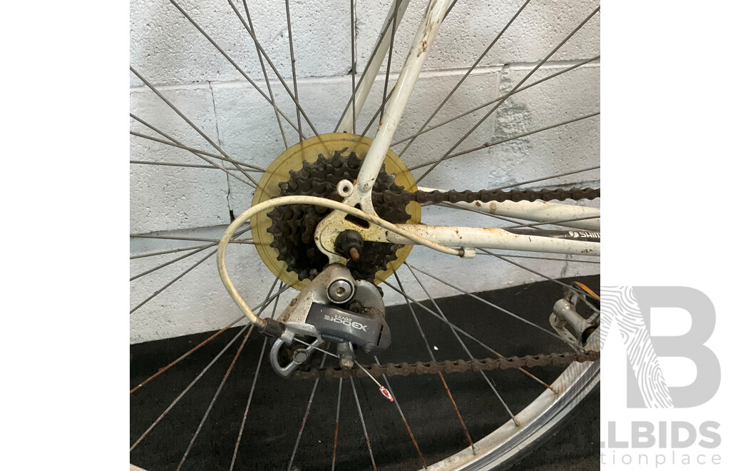 REPCO Performance Series Superlite Road Bike with HAMAX Child Seat