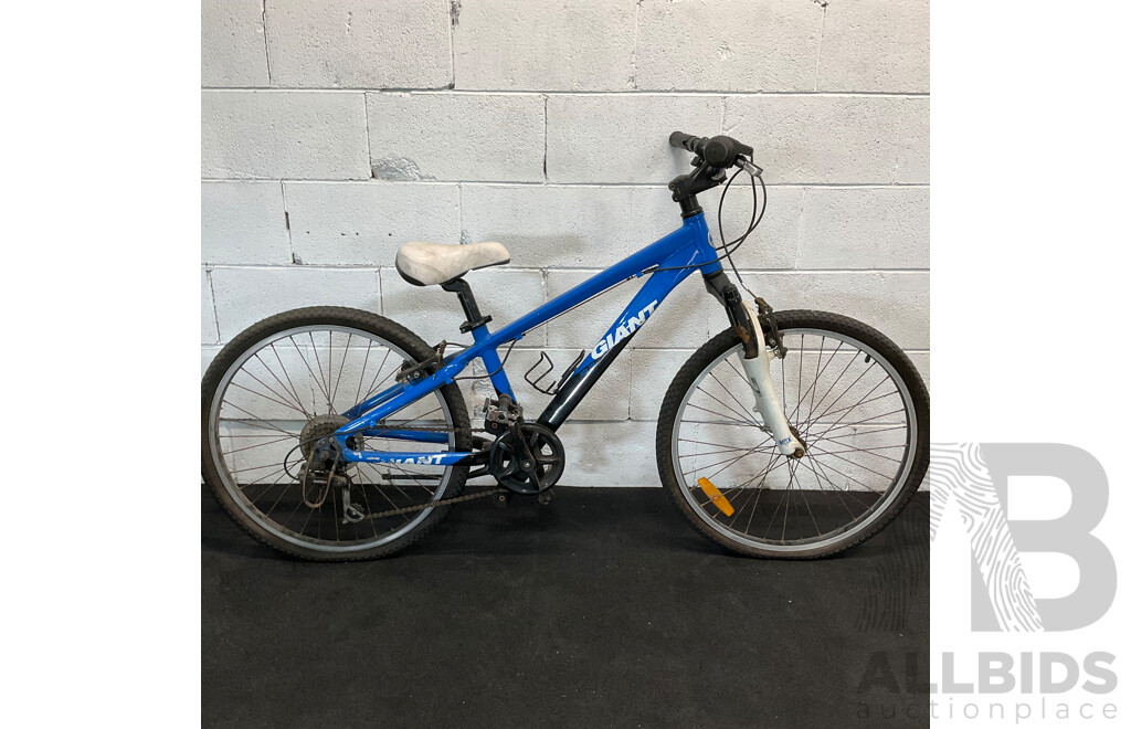 GIANT Kids J24 Mountain Bike