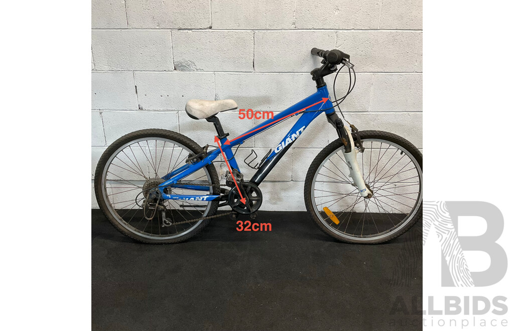 GIANT Kids J24 Mountain Bike