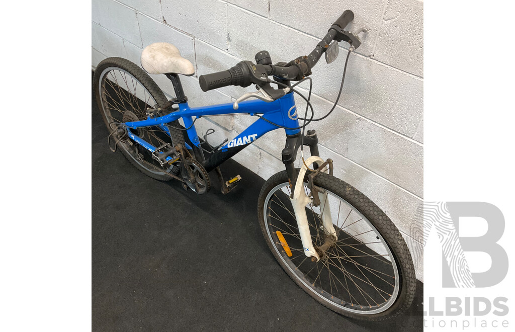 GIANT Kids J24 Mountain Bike