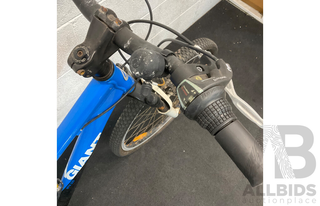 GIANT Kids J24 Mountain Bike