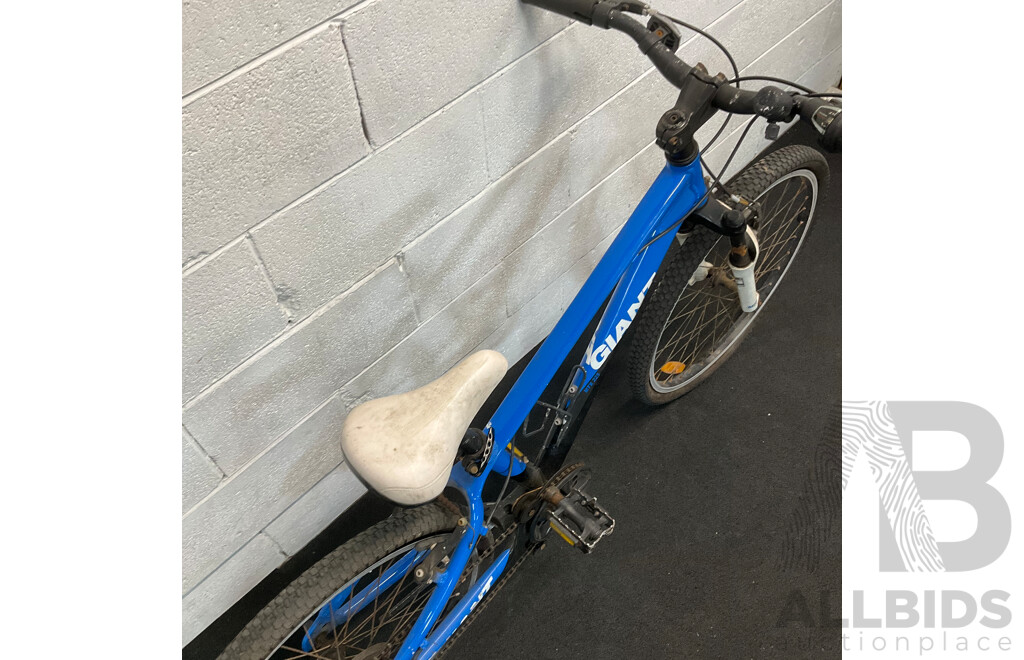 GIANT Kids J24 Mountain Bike