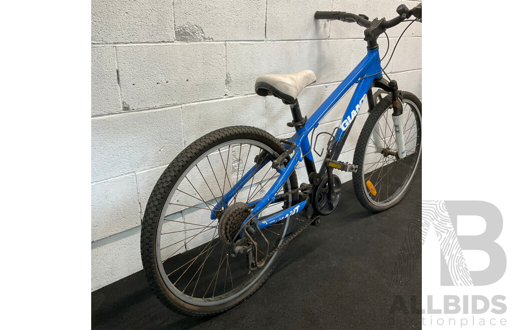 GIANT Kids J24 Mountain Bike