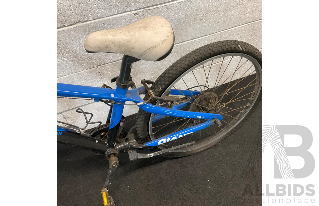 GIANT Kids J24 Mountain Bike